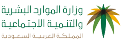 www.digital-vision.cc